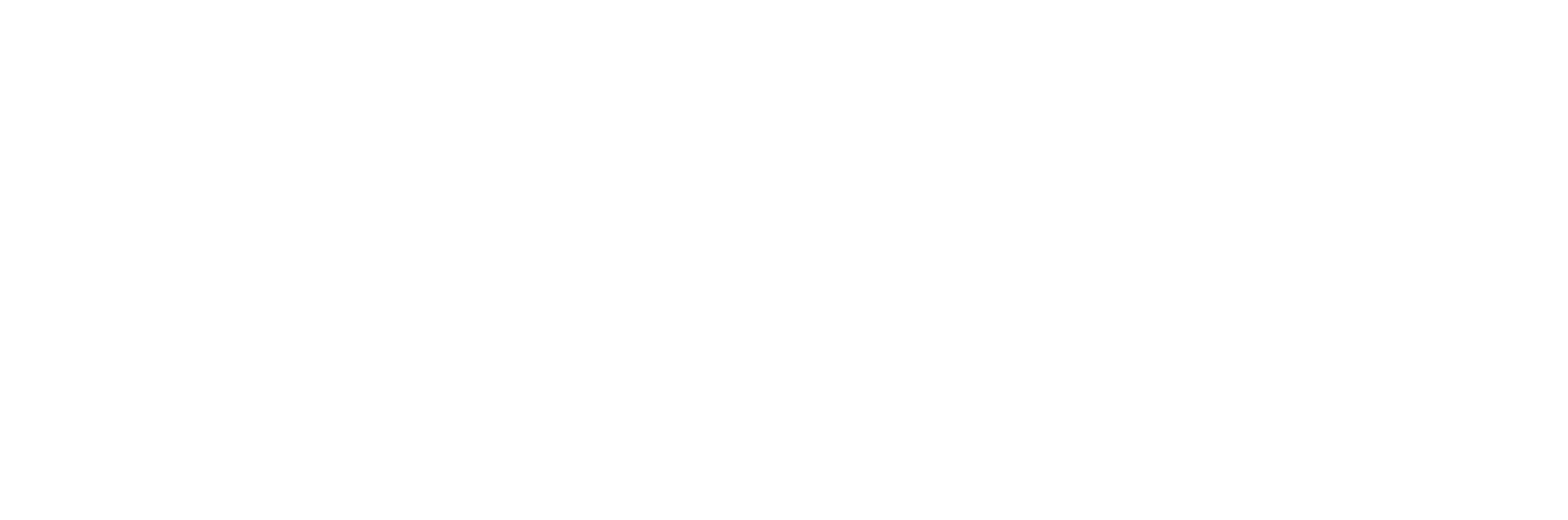 Ninja Trening